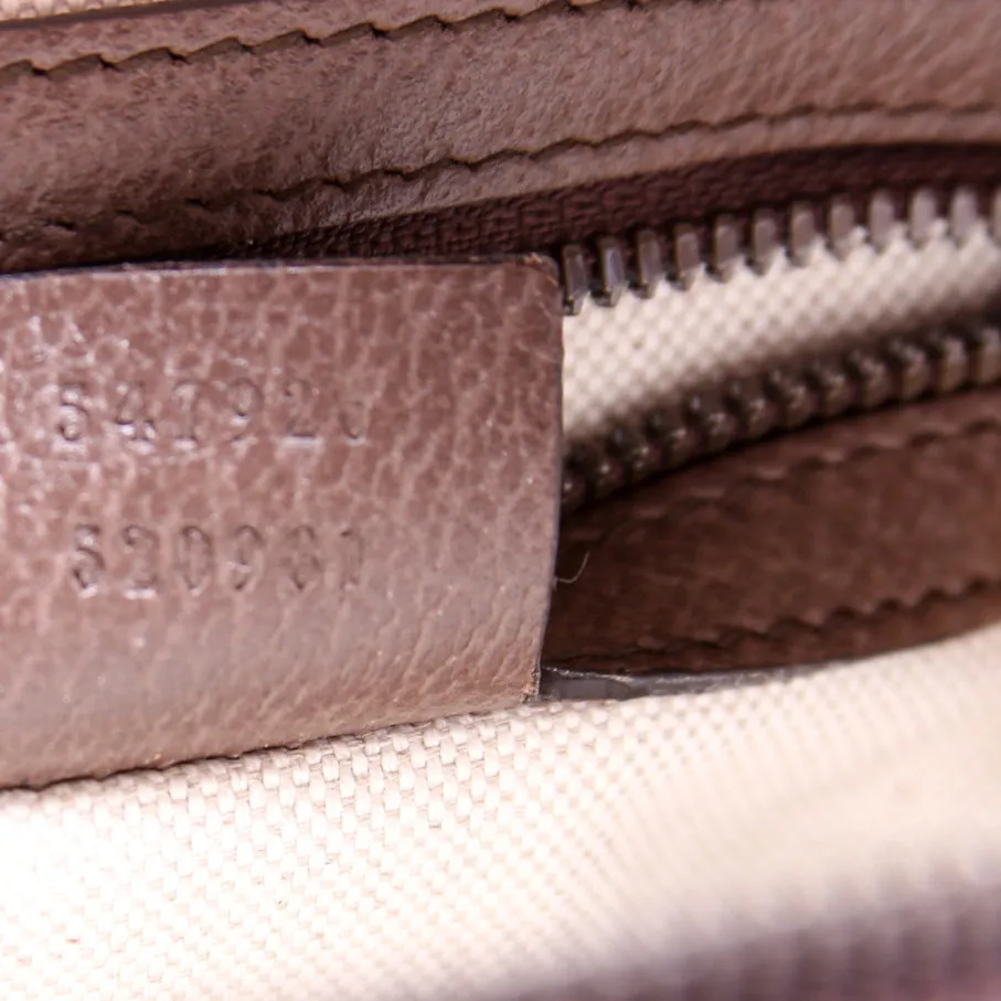 5479626 Ophidia Messenger Bag