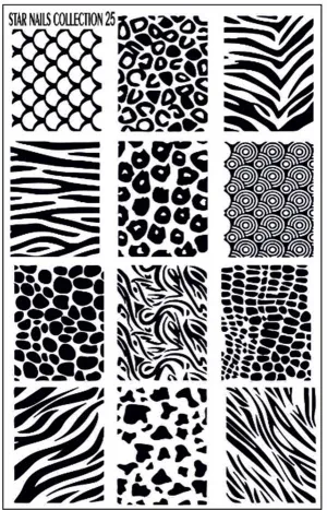 AK (STAR NAILS) COLLECTION 25 Stamping plate
