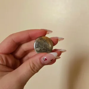 Animal Bones Button Pin