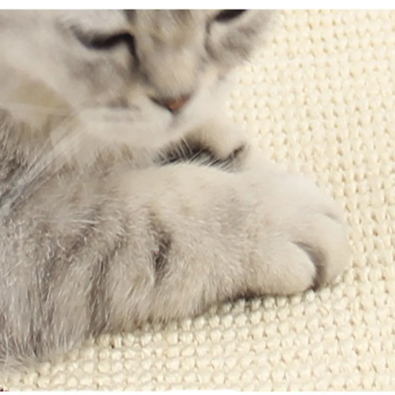 Cartoon Cat Scratching Kittens Claw 15