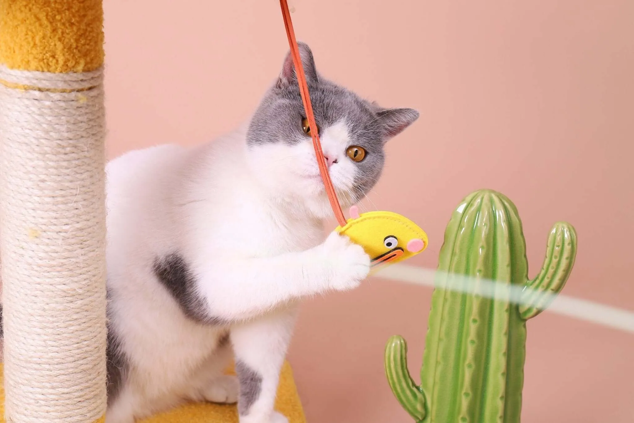 Cartoon Clumsy Chicken Cat Scratcher Tree