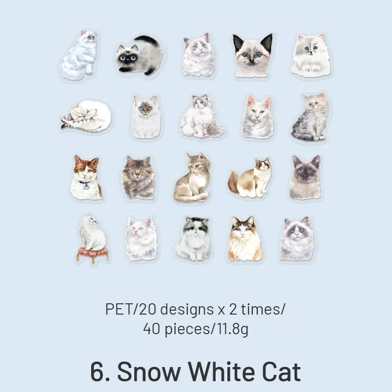 Cat Cute Cartoon Hand-Painted Clear Transparent Sticker Pack
