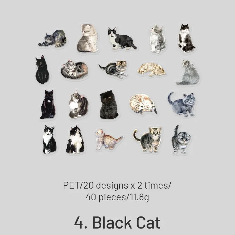 Cat Cute Cartoon Hand-Painted Clear Transparent Sticker Pack