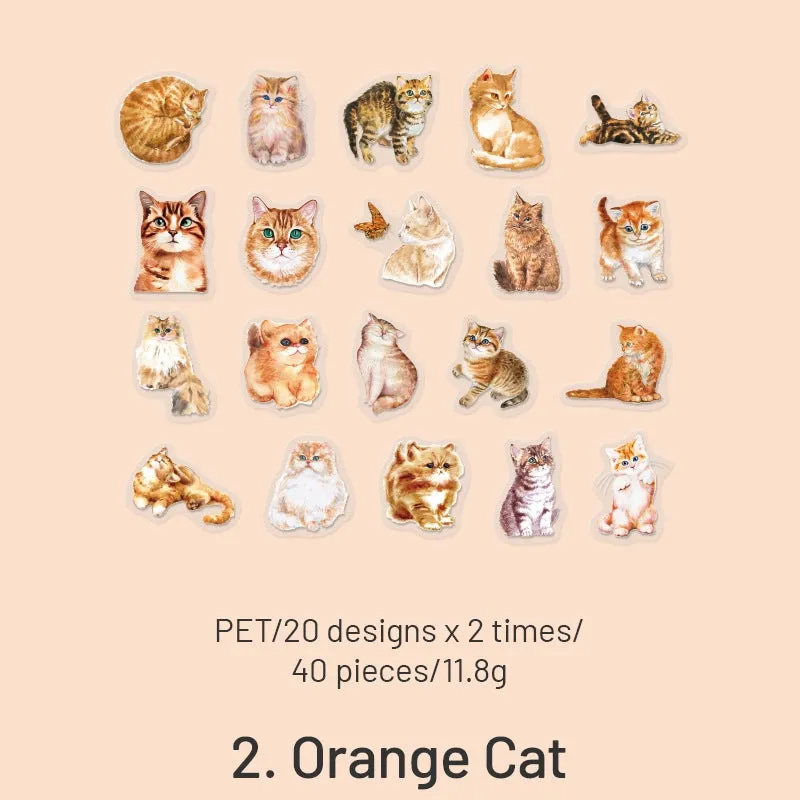 Cat Cute Cartoon Hand-Painted Clear Transparent Sticker Pack