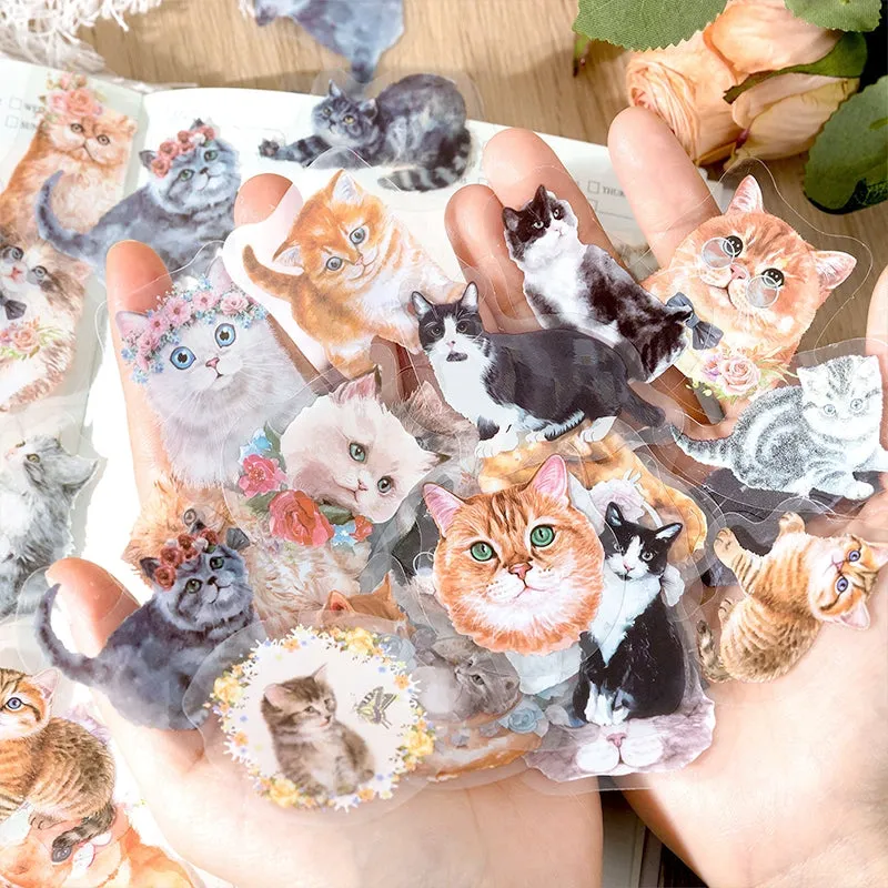 Cat Cute Cartoon Hand-Painted Clear Transparent Sticker Pack