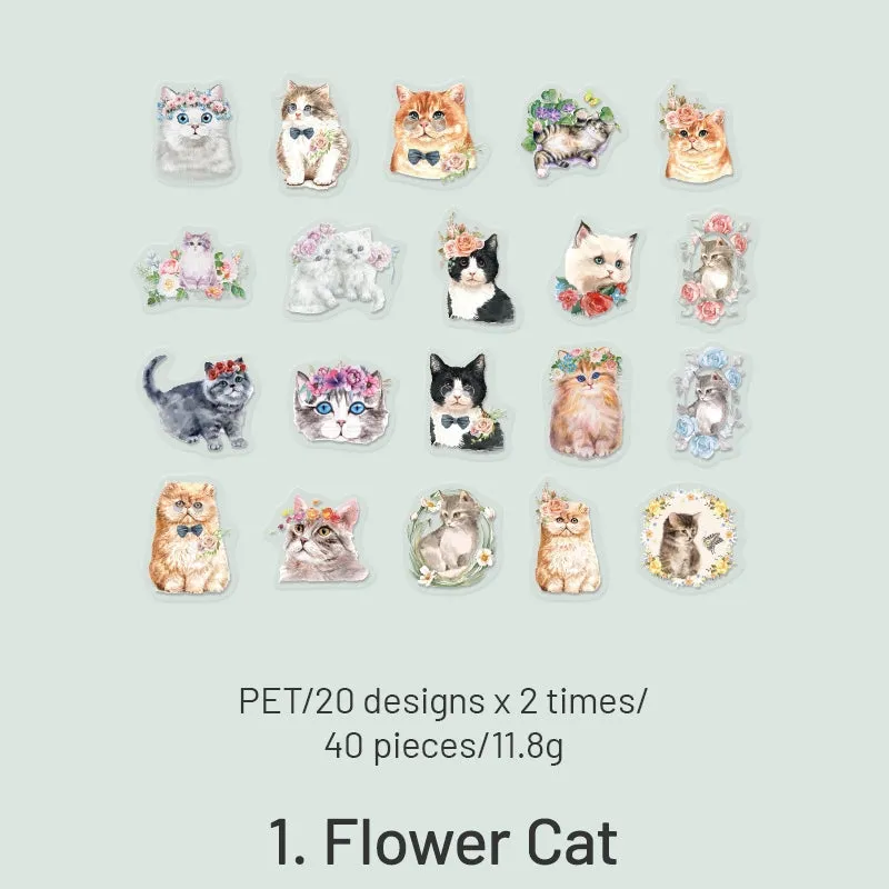 Cat Cute Cartoon Hand-Painted Clear Transparent Sticker Pack