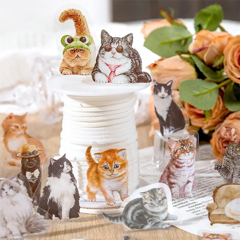 Cat Cute Cartoon Hand-Painted Clear Transparent Sticker Pack