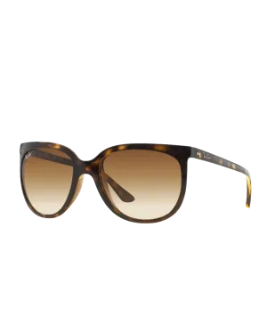 Cats 1000 Sunglasses in Assorted