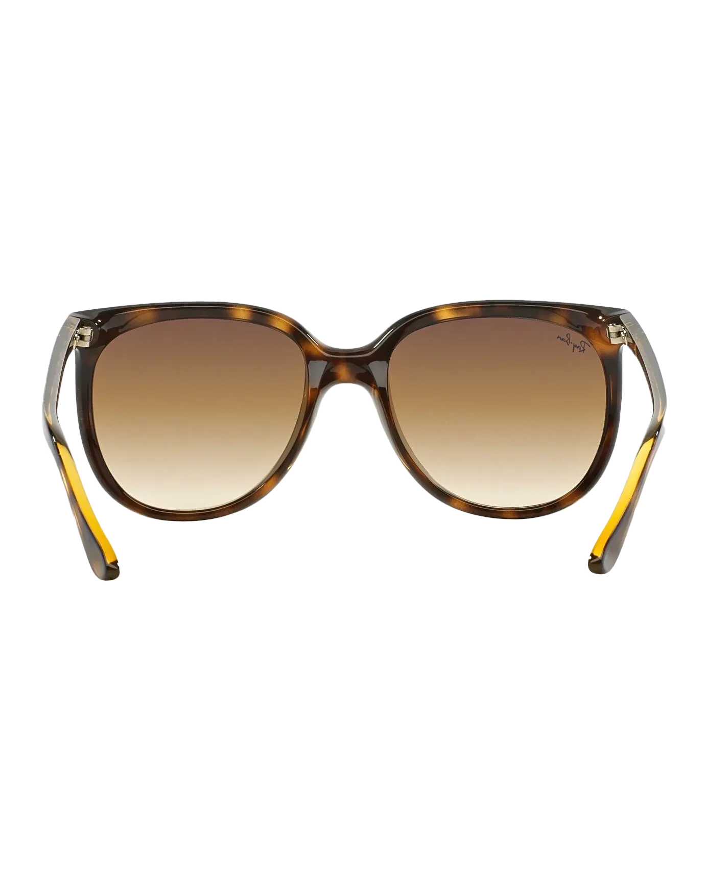 Cats 1000 Sunglasses in Assorted