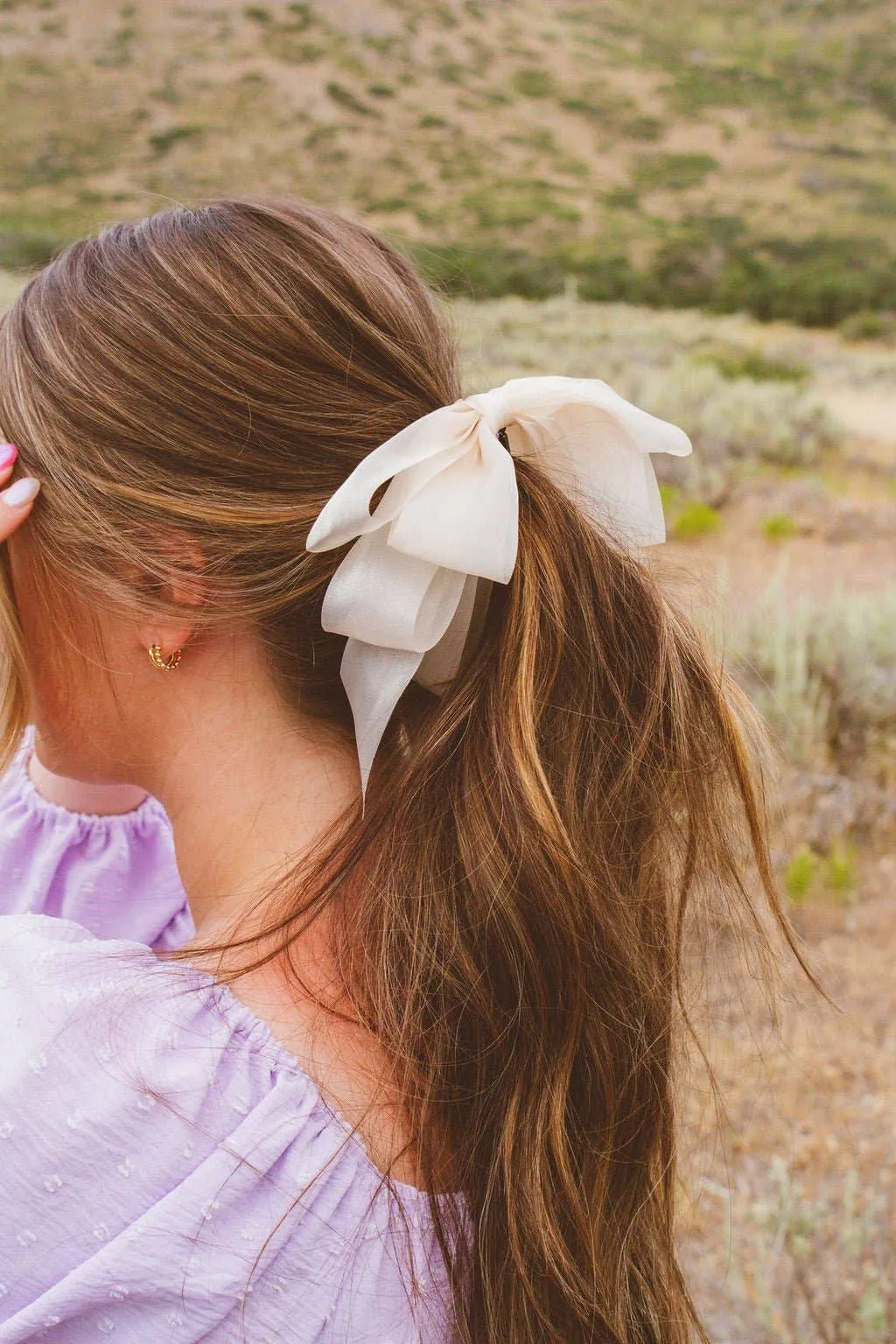 Chiquita Sheer Bow Banana Claw Clip
