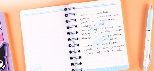 Color Cartoon Notebook A6