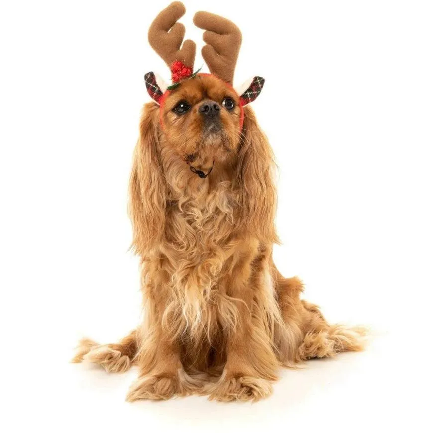 FuzzYard |  Christmas Reindeer Antlers