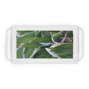 Green Leaves Cotton Face Mask (EU)