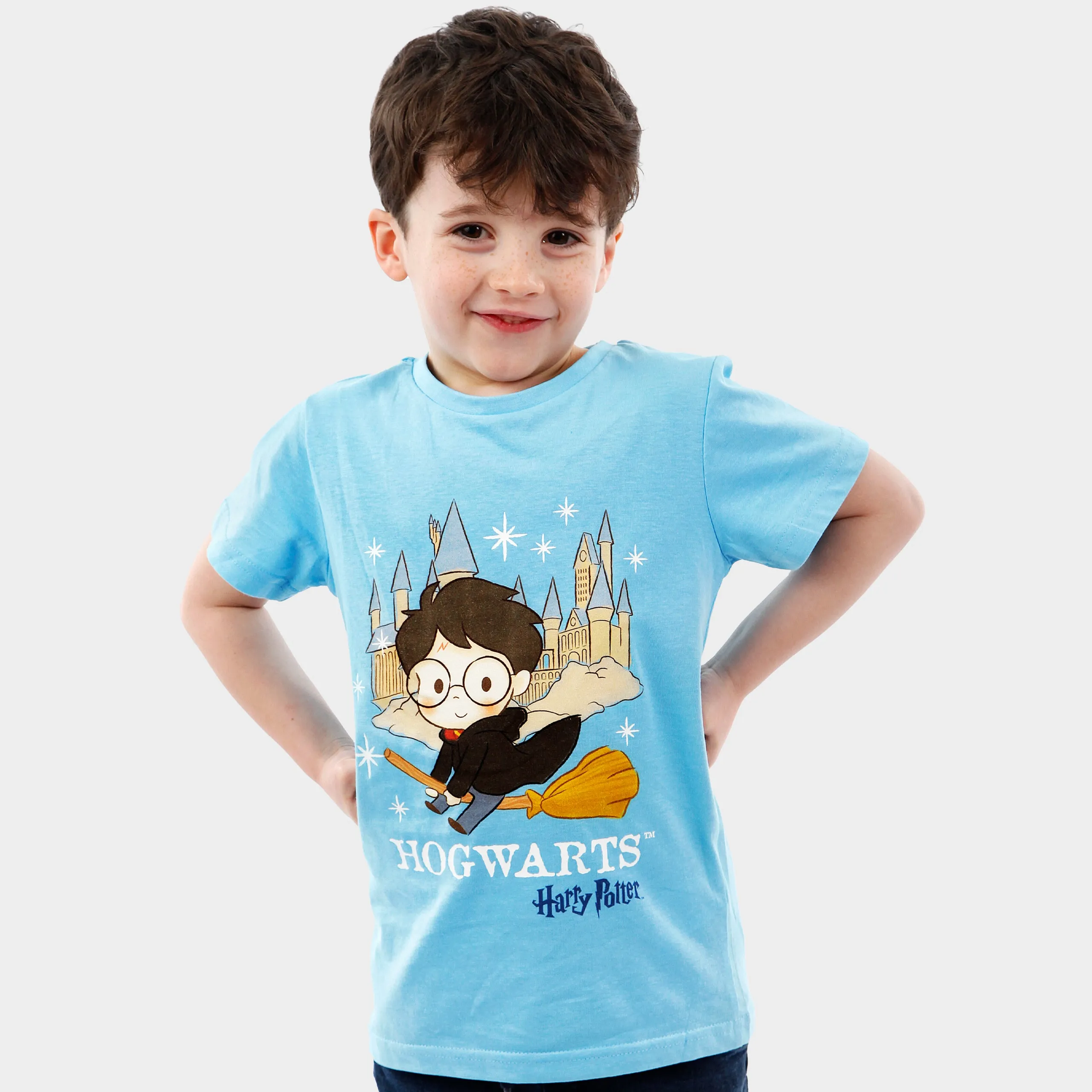 Harry Potter Hogwarts T-Shirt