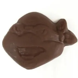 Karate Turtle Face Pop