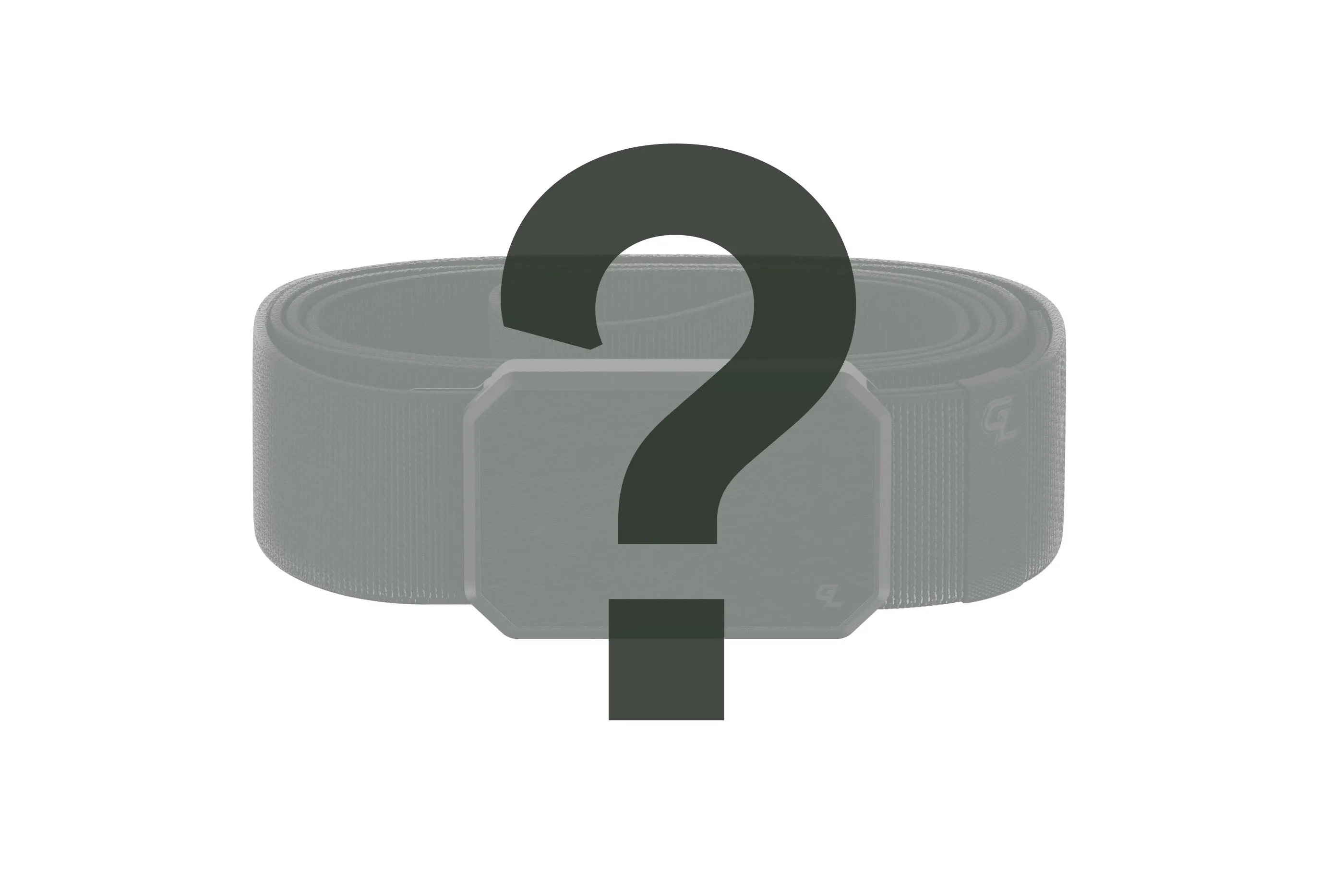 Mystery Belt Only $24.95 (61% OFF)