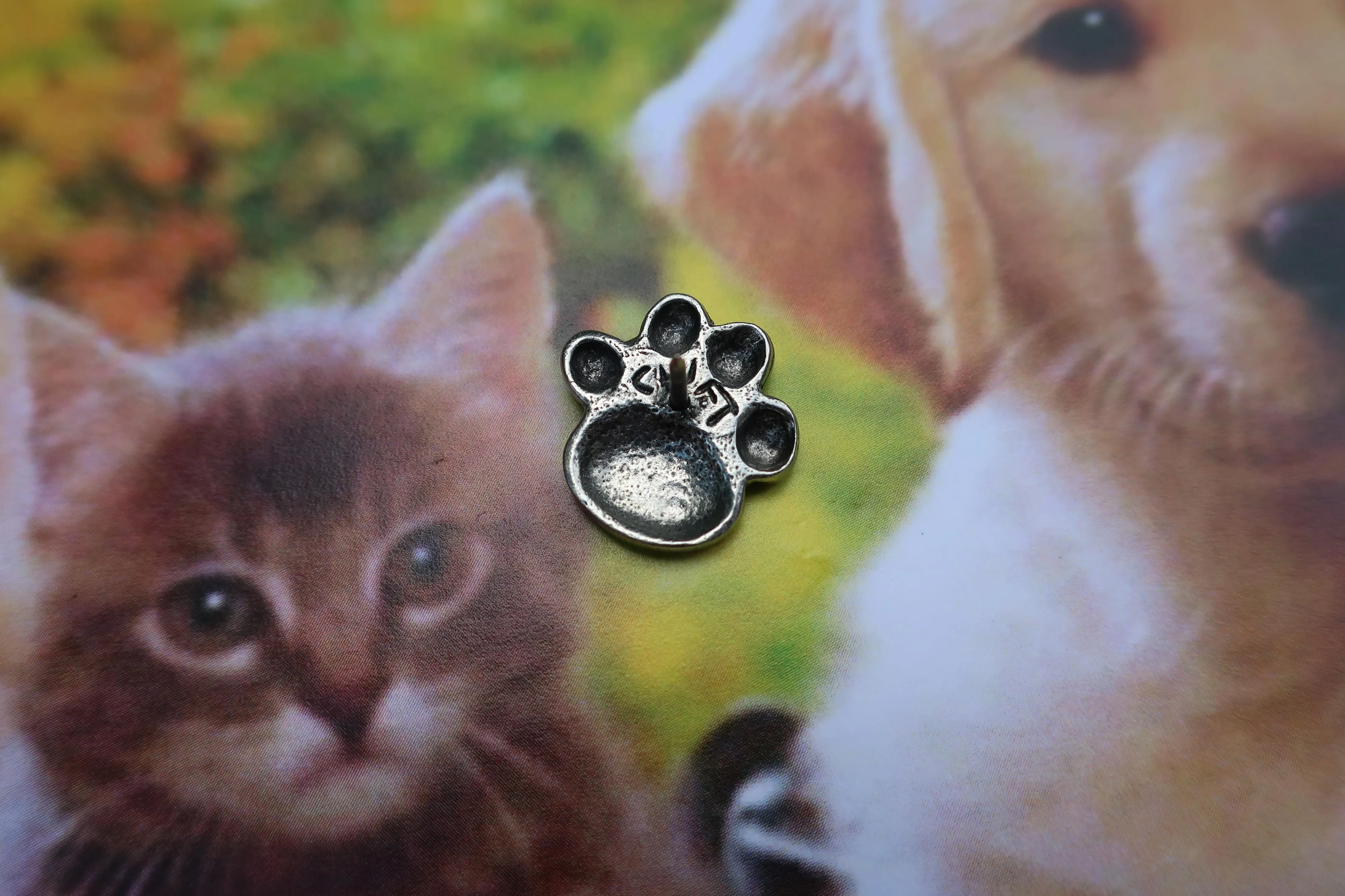 Paw Print Lapel Pin