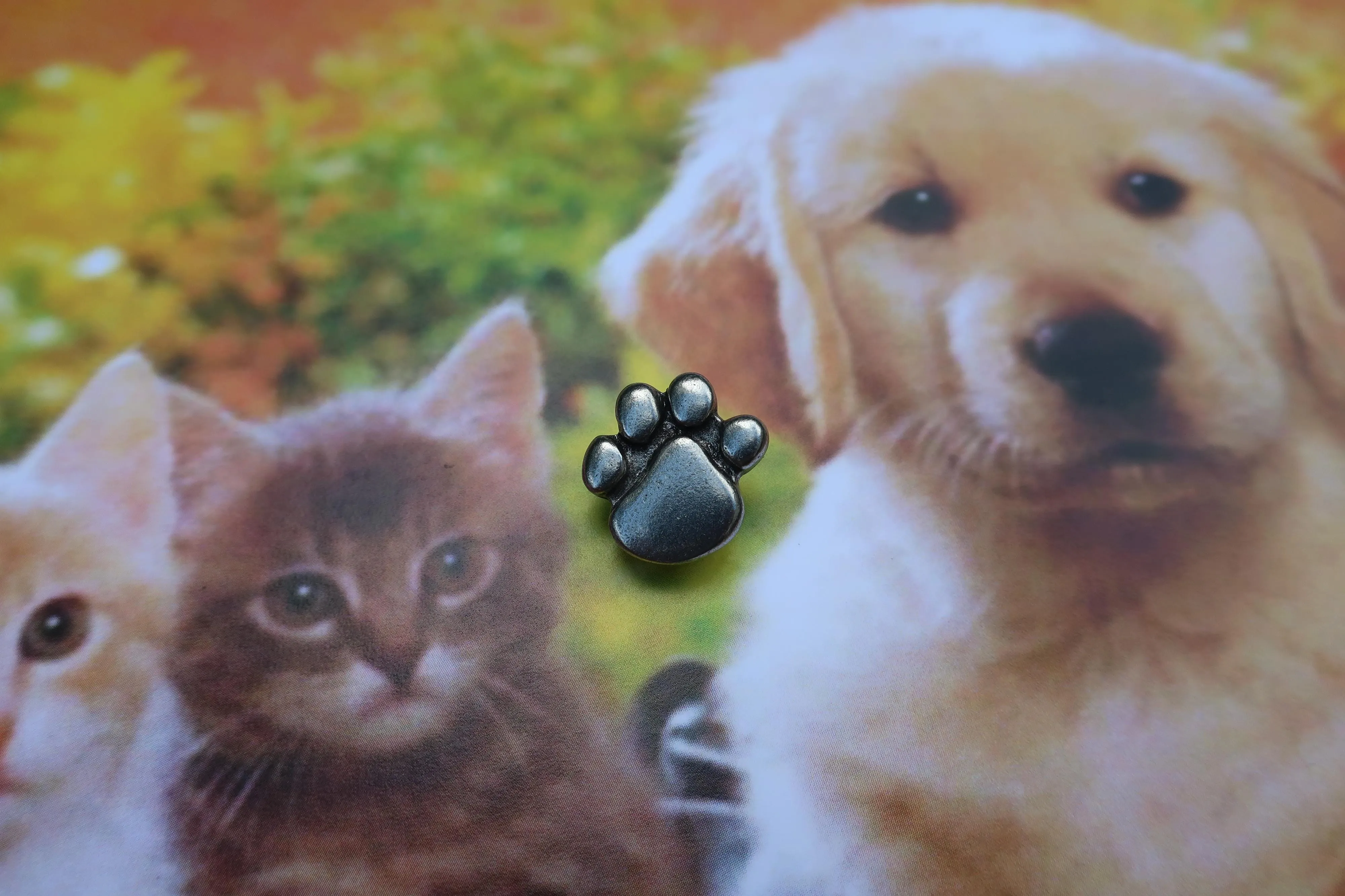 Paw Print Lapel Pin