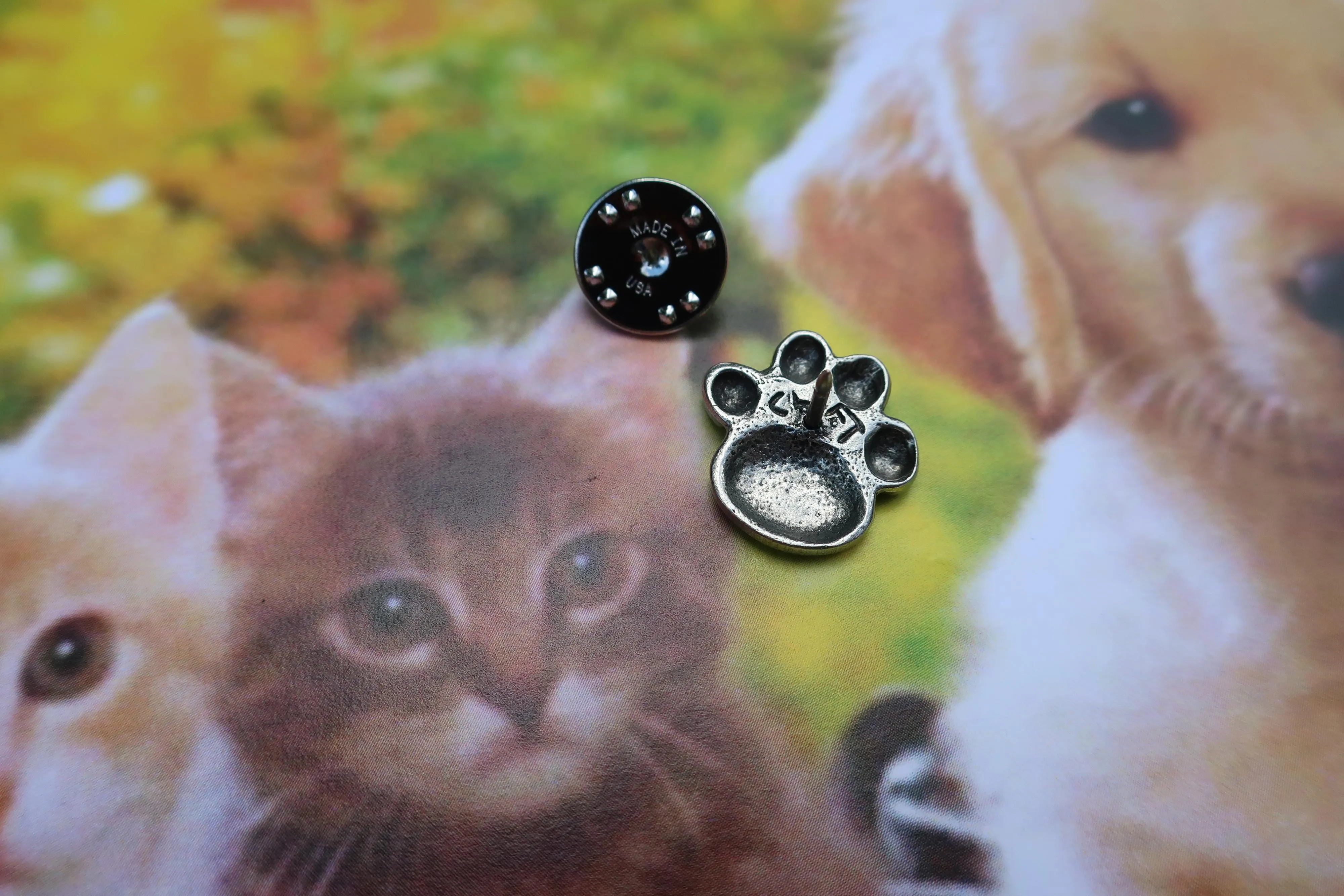 Paw Print Lapel Pin