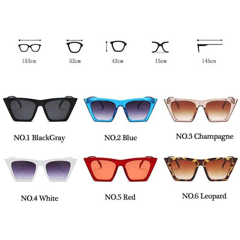 Plastic Vintage Luxury Sunglasses
