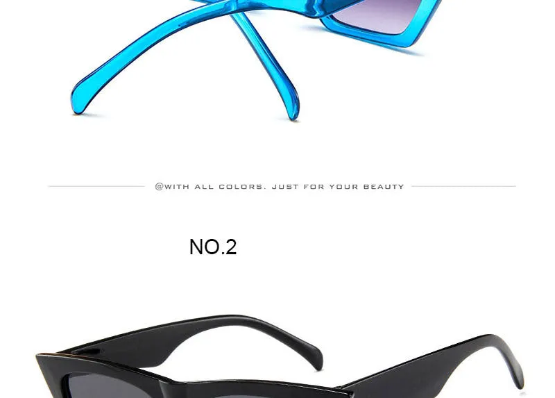 Plastic Vintage Luxury Sunglasses