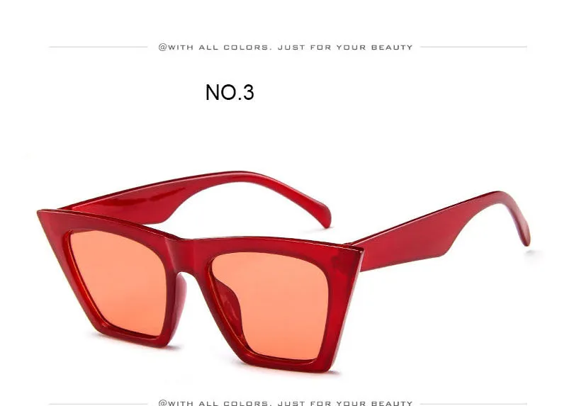 Plastic Vintage Luxury Sunglasses