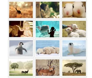 "The Nature of Pet" Postcard Set