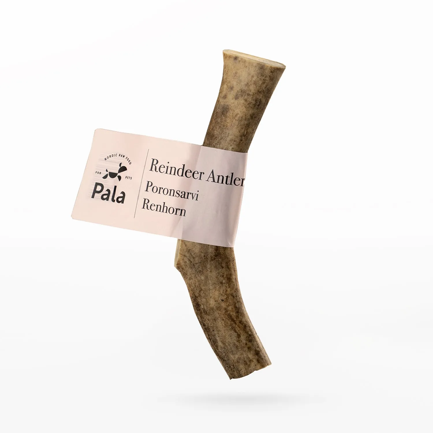 Reindeer Antler