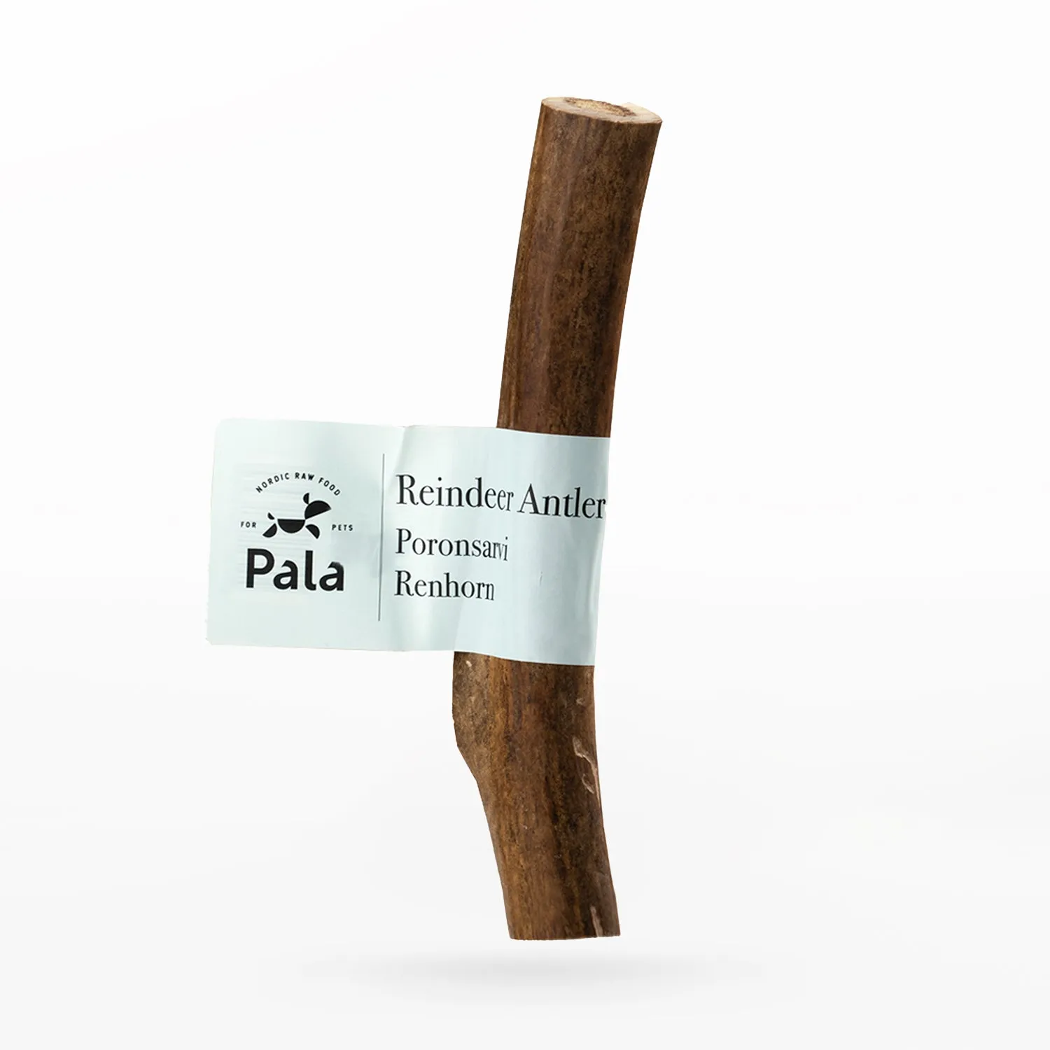 Reindeer Antler