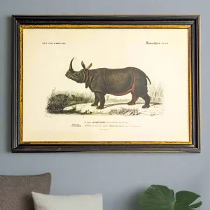Vintage Animal Print In A Black & Gold Frame - 73cm x 53cm