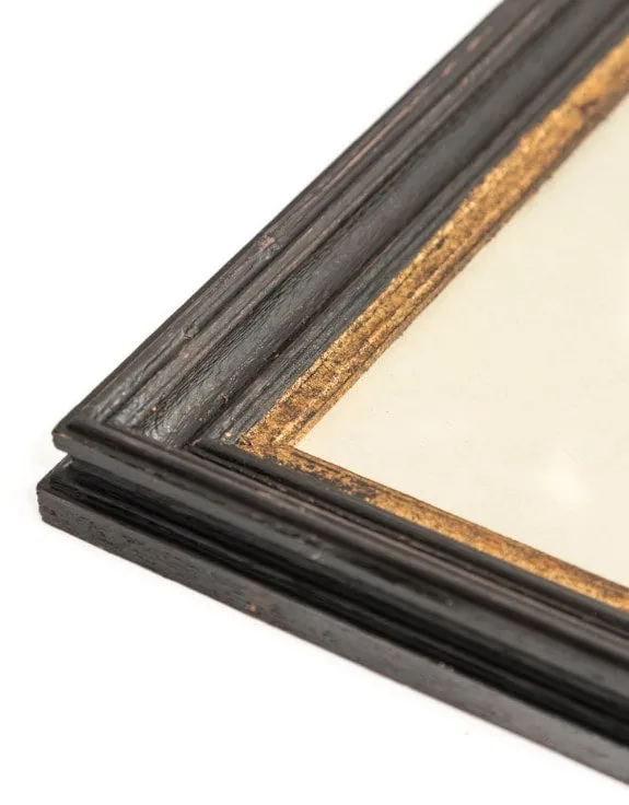 Vintage Animal Print In A Black & Gold Frame - 73cm x 53cm