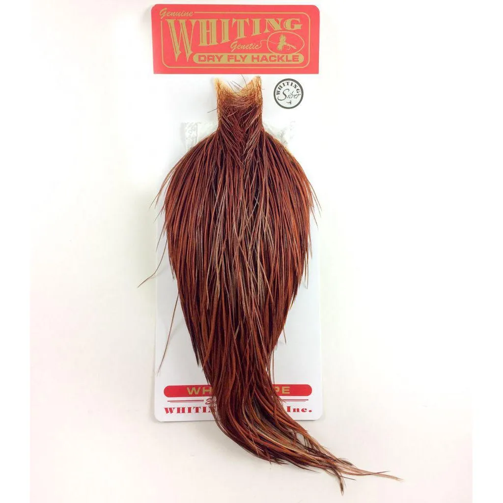 Whiting Silver Grade Rooster Cape
