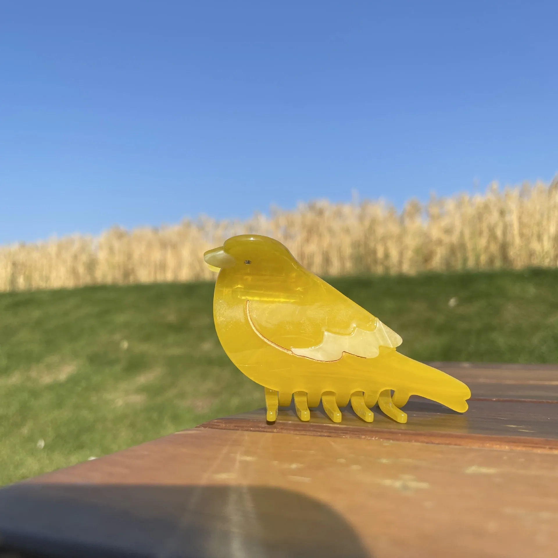 Wholesale Acetate Cartoon Bird Hair Clips